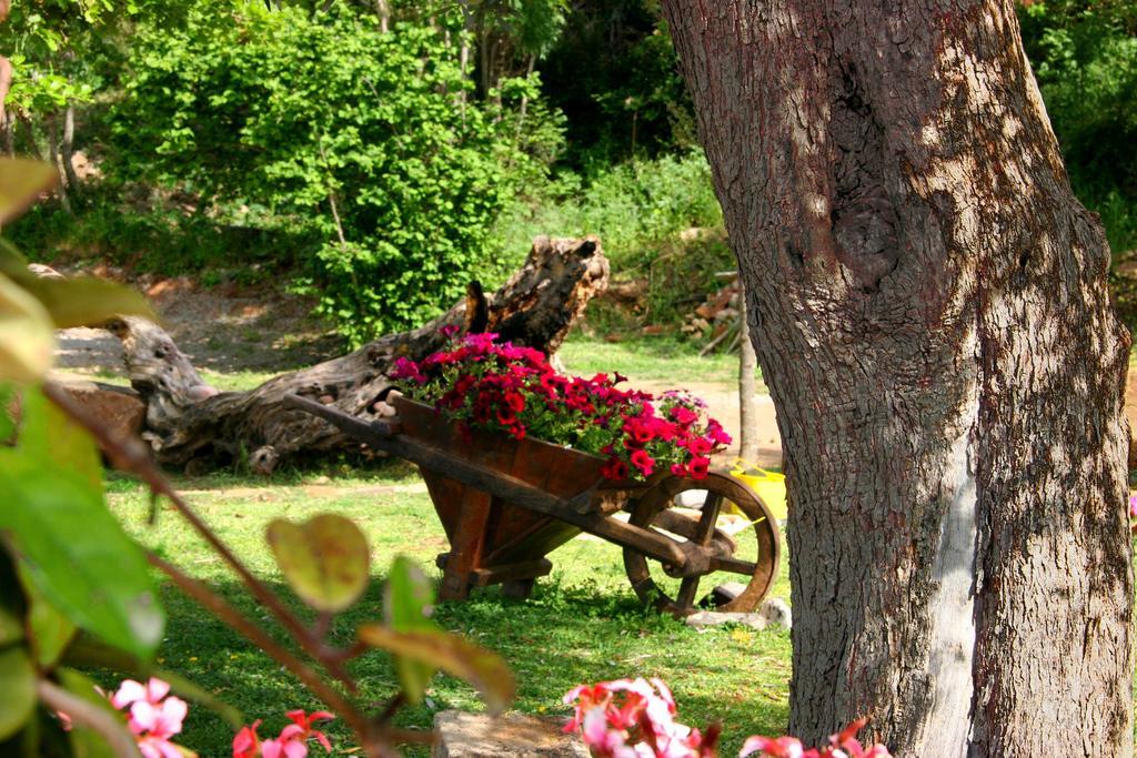 Casale Margherita Turismo Rurale Pollina Zewnętrze zdjęcie